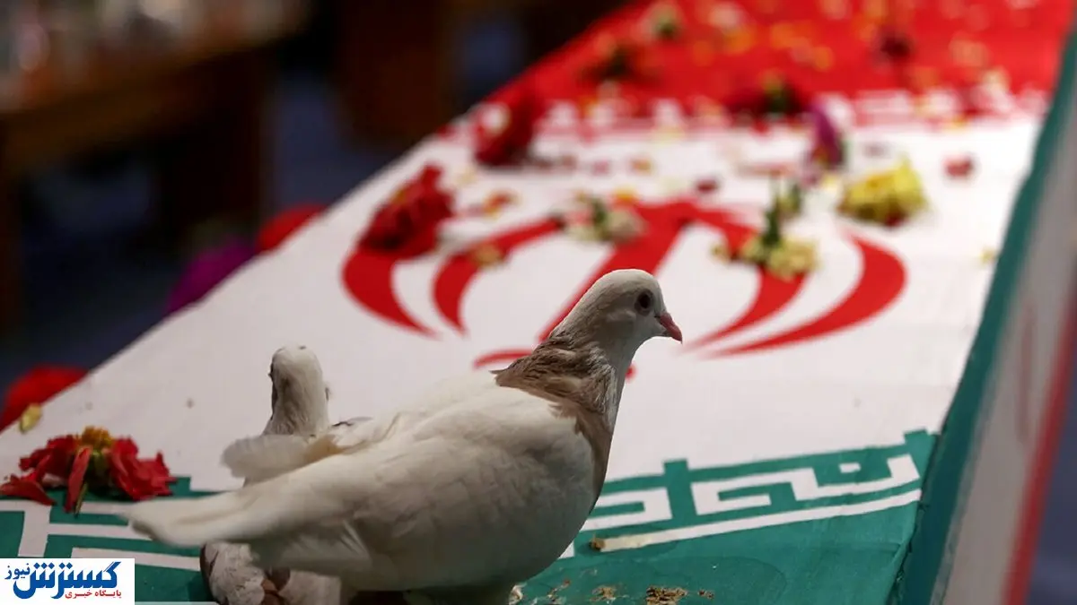 ایران چند شهید دارد؟