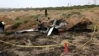 سقوط وحشتناک یک هواپیما در کرج / علت حادثه مشخص شد