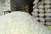 خشکسالی به جان بازار برنج افتاد | گرانی در راه است ؟