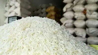 خشکسالی به جان بازار برنج افتاد | گرانی در راه است ؟