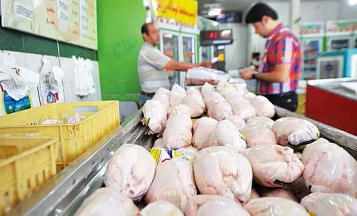 ۲۰۰ تن مرغ منجمد تنظیم بازار در یزد توزیع شد