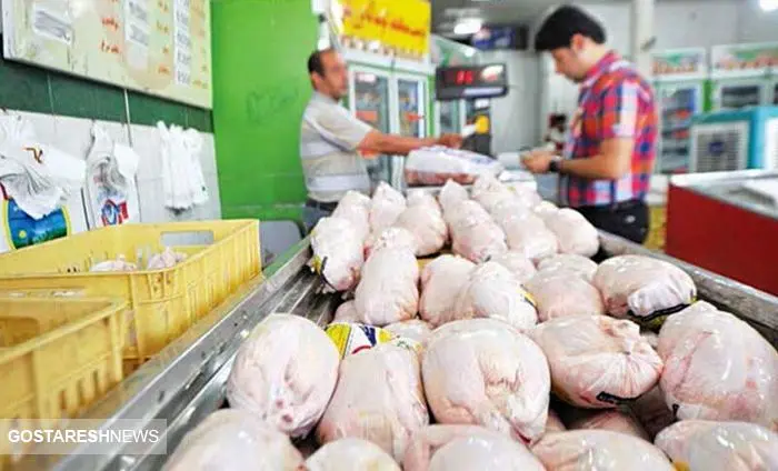 قیمت گوشت مرغ در بازار (۵ تیر ۹۹) + جدول