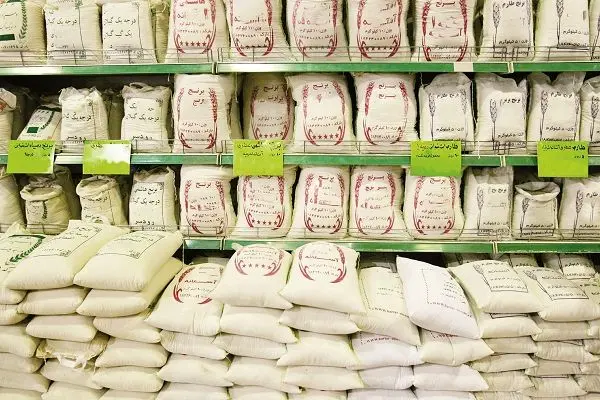 مافیای برنج، یک تبلیغ انتخاباتی! / گرانی و کمبود در کمین بازار 