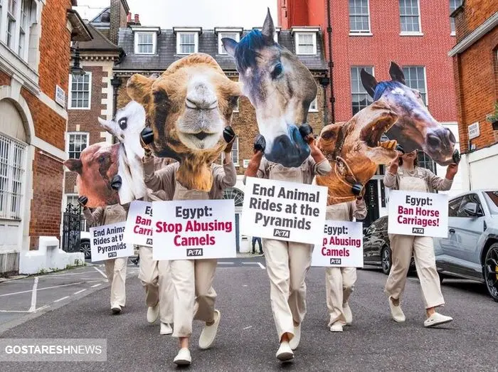 حامیان عجیب حقوق حیوانات در مقابل سفارت مصر در لندن+ عکس