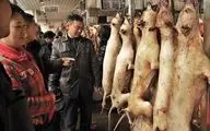 نمایشگاه گوشت سگ در چین افتتاح شد