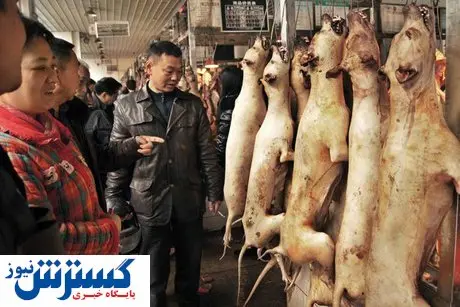 نمایشگاه گوشت سگ در چین افتتاح شد