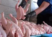 توزیع مرغ ۱۵ هزار و ۵۰۰ تومانی در بازار