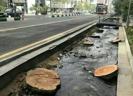  دلیل عقب ماندگی کشور در اقتصاد سبز / چه راهکاری وجود دارد؟