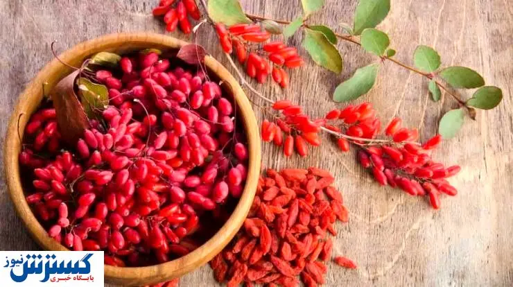 قیمت انواع زرشک در بازار + جدول