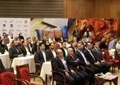 آشنایی با چالش های مسیر کارآفرینی در ایران و جهان