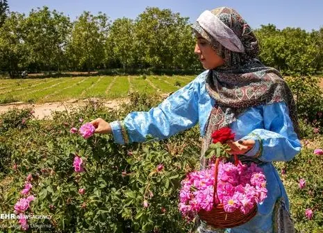 تصاویر/ سد سوراخ شد، سیل میشیگان را برد  