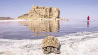 آخرین وضعیت دریاچه ارومیه | تامین حقابه به کجا رسید؟
