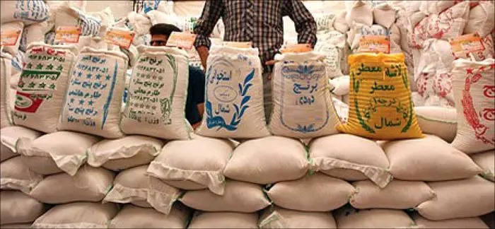 قیمت برنج در بازار امروز کیلویی چند؟ + جدول
