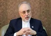 مدیر کل آژانس بین‌المللی انرژی اتمی در راه تهران