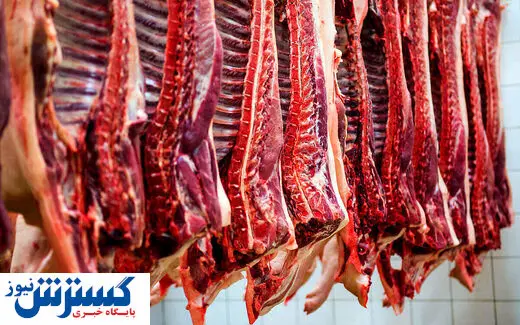 گوشت ارزان راهی بازار می شود؟