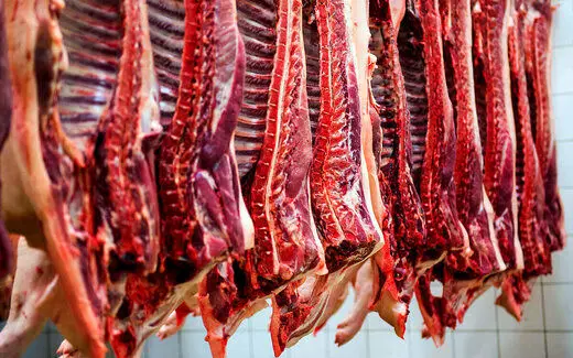 قیمت گوشت قرمز در سراشیبی