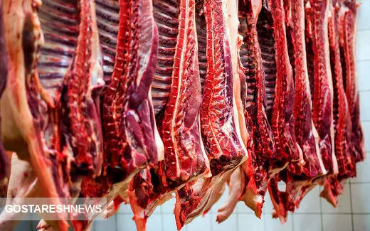 تاثیر خطرناک قیمت گوشت بر میزان مصرف آن / آمار سالانه چقدر است؟