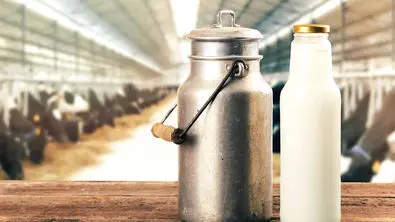 دلیل افزایش قیمت شیر خام اعلام شد