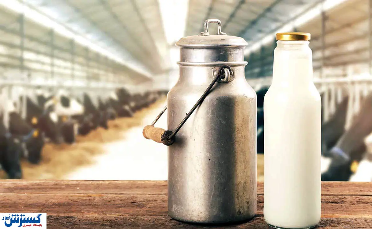 خبر رسمی درباره قیمت شیر خام اعلام شد (27 آبان)