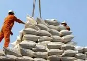 محموله عظیم برنج در راه بازار 