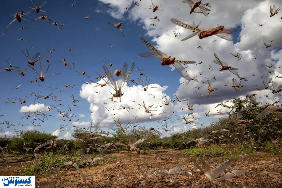 بحران جدید در راه ایران؛ آماده باش اعلام شد
