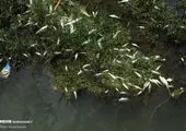 غرق شدن ۴ کودک نیکشهری در یک رودخانه فصلی