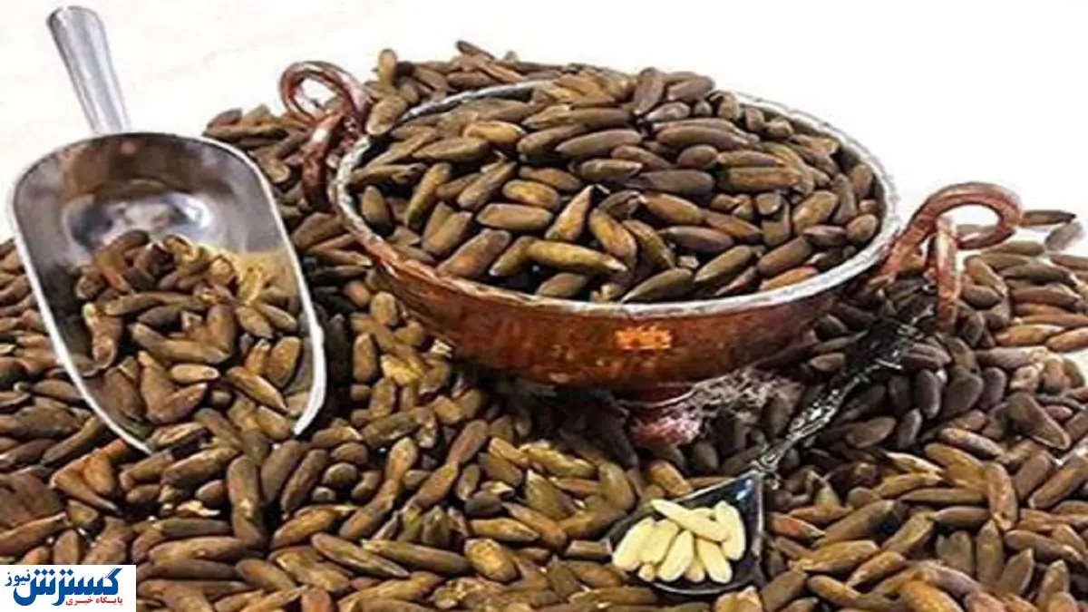 خواص سودمند این آجیل گران!