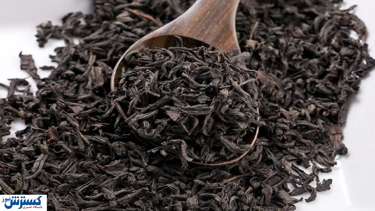 سفارش چای در برابر طلب نفتی! / واردات آغاز شد