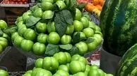 کاهش قیمت میوه به ضرر کشاورز است! / گوجه سبز ارزان شد؟ 