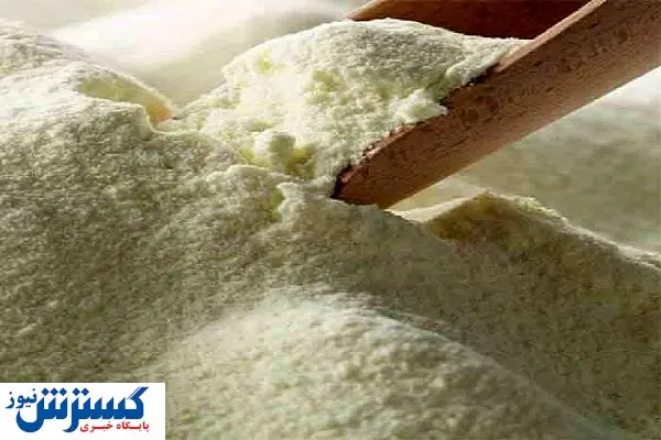 عوارض صادرات برای شیرخشک و خامه تعیین شد