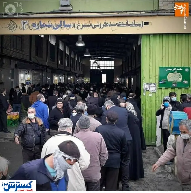 اظهار نظری عجیب درباره تشکیل صف مرغ!