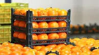 آخرین جزئیات درباره قیمت میوه تنظیم بازاری / پرتقال و سیب چند؟