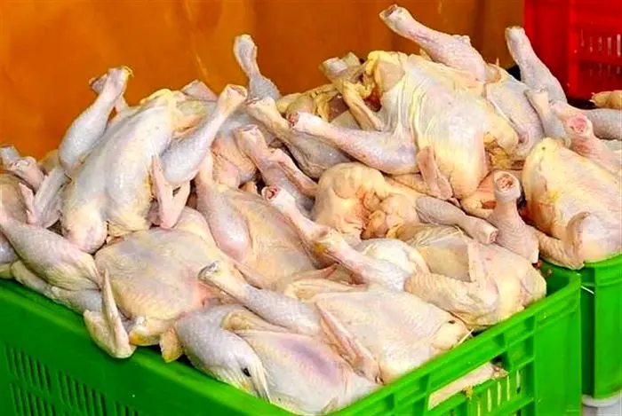کاهش قیمت مرغ ادامه دارد؟ قیمت مرغ امروز چند؟