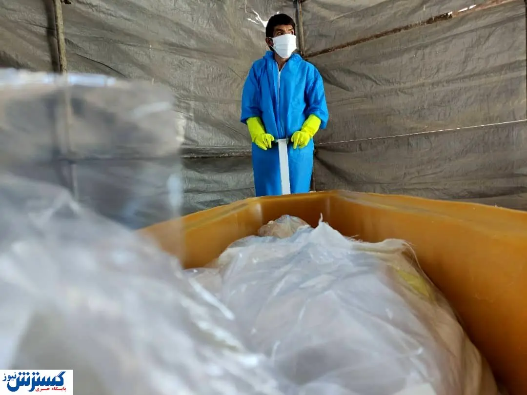 آمار جدید تلفات کرونا + جزئیات