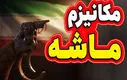 ملکی هشدار داد؛ روسیه و چین با کارت ایران بازی می‌کنند