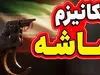 لولویی که اقتصاد ایران را نمی‌ترساند؛ روزنامه سپاه کار را یکسره کرد