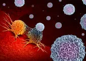 شناسایی ویروسی که تومورهای سرطانی را از بین می برد