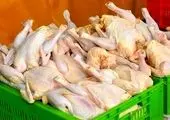 قیمت مرغ کیلویی چند؟ | قیمت مرغ در بازار امروز