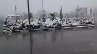بارش برف در کاشان! + فیلم