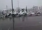 برف بیابان های عربستان را سفید پوش کرد + فیلم