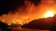 آتش‌سوزی گسترده در ترکیه+ فیلم