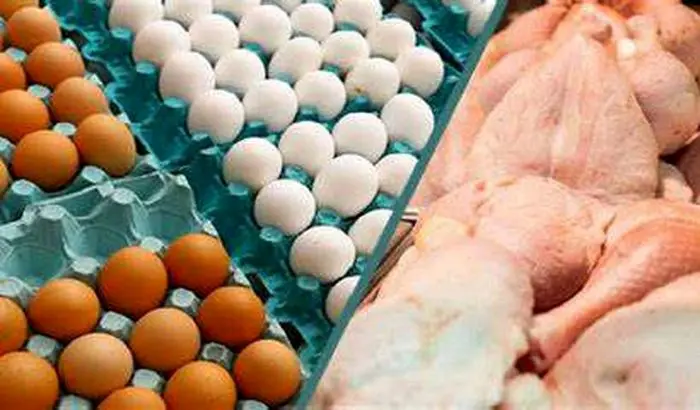 قیمت روز مرغ و تخم مرغ در بازار  (۱۴۰۰/۰۴/۰۶) + جدول
