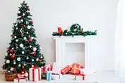 رونق جشن کریسمس در خانه ایرانی ها / درخت کاج ۱۳ میلیون ناقابل