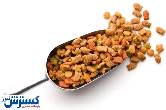 رونق بی سابقه تولید خوراک برای حیوانات خانگی