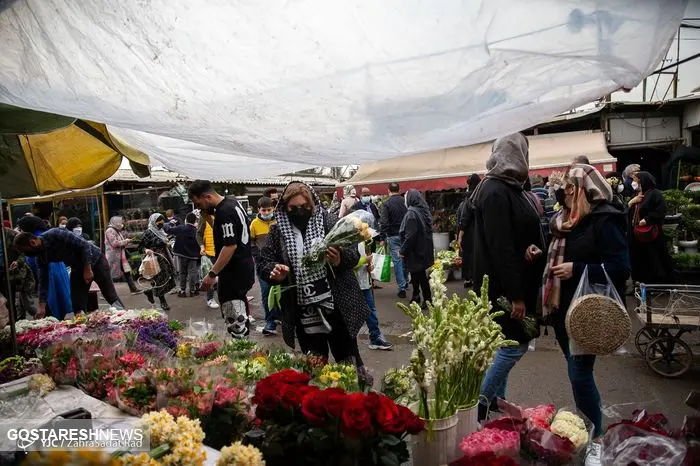 تصاویر/ اقبال خوش بازار گل محلاتی در آستانه نوروز