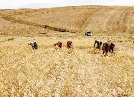 باید به‌تدریج مشکلات را برطرف کرد