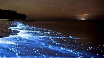 سفر به این نقطه از کشور برای ایرانیان تقریباً محال شد !