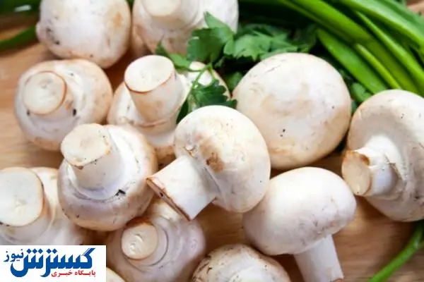 قیمت قارچ هم نجومی شد؟