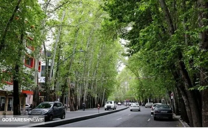خیابان ولیعصر تهران در آستانه ثبت جهانی