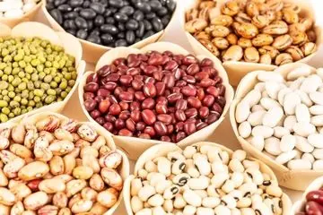 خبر رسمی درباره صادرات حبوبات اعلام شد + عکس